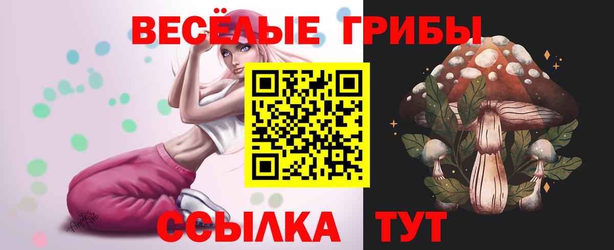 Узловая  Галлюциногенные грибы ЛСД  наркота  Вход с VPN 